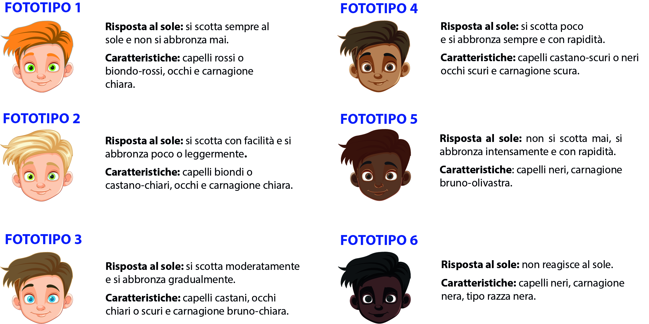 Schema illustrato 6 fototipi Fitzpatrick