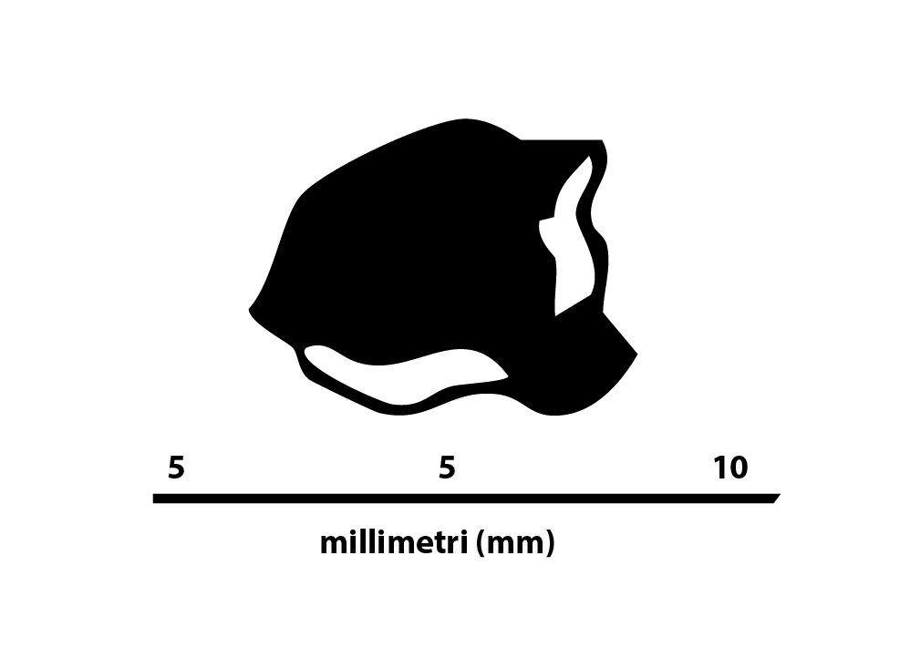 Icona Dimensioni